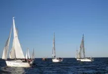 Kolejny sukces morskiej reprezentacji – s/y Słoni