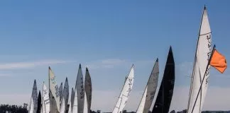 Propozycja kalendarza regat 505